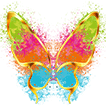 tyo (tschjo) = altjapanisch Schmetterling